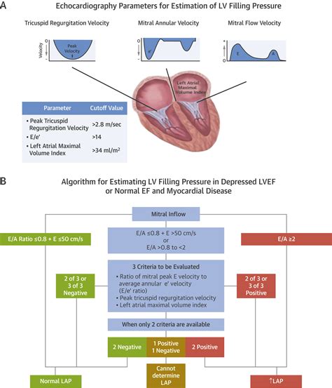 Left Ventricle Diastolic Dysfunction and Prognosis